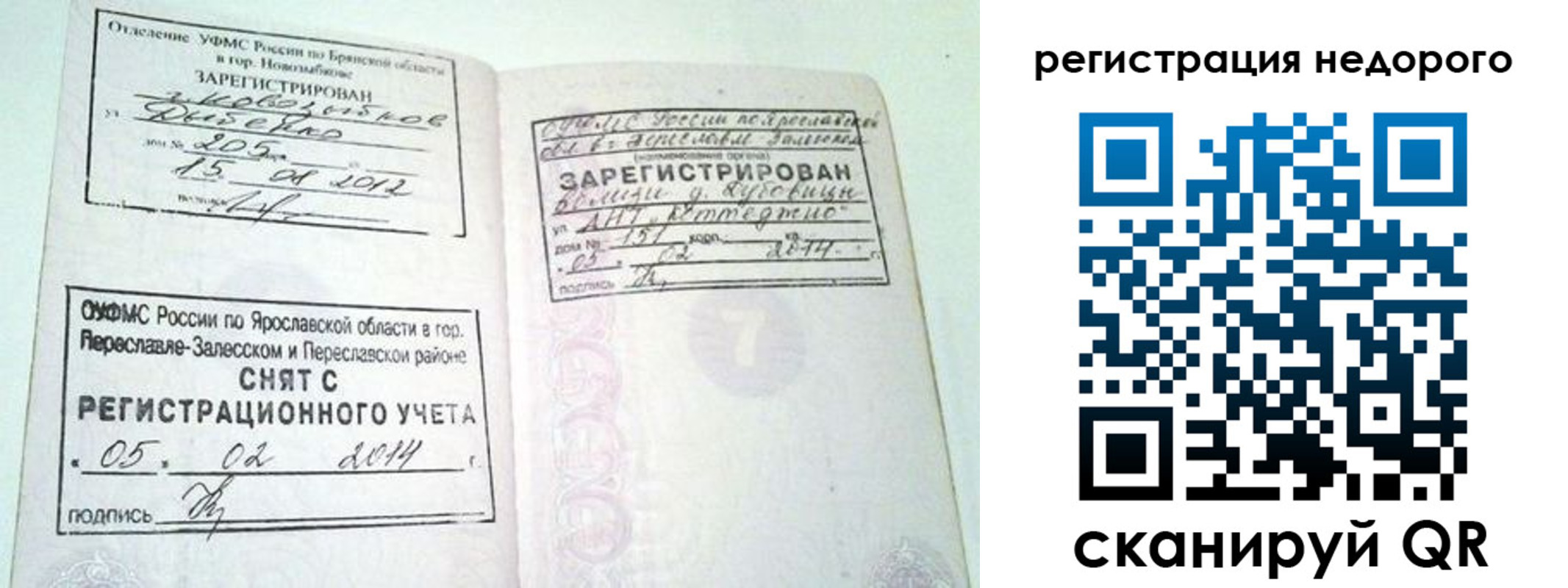 прописка поиск в Суворове